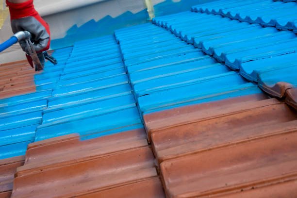 roof lichen treatment