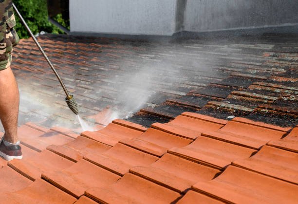 roof moss treatment nz
